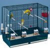 Budgie Cage Record 6