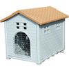 Plastic Dog House Aaron