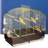 Canto Parakeet Cage, Brass