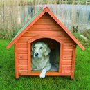 Dog House Natura