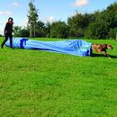 Agility Collapsed Tunnel (Chute)