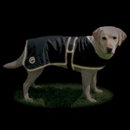 Dog Jacket Tcoat Orlèans