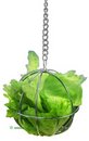 Food Ball