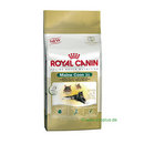 Royal Canin Maine Coon 31