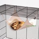 Ferret Hammock