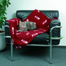 Fleece Blanket Beany