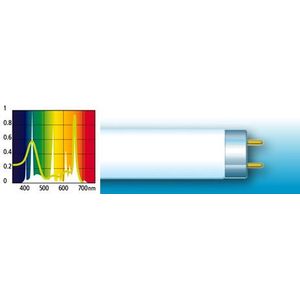 Arcadia Fluorescent Lamp 'Original Tropical'