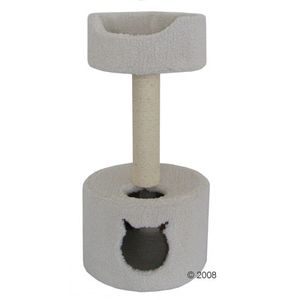 Cat Tree Tupai