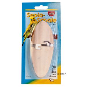 Cuttlebone with Mount
