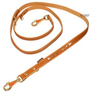 Dog Lead Buffalo