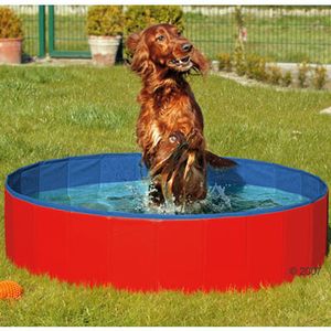 Hard Plastic Paddling Pool For Dogs