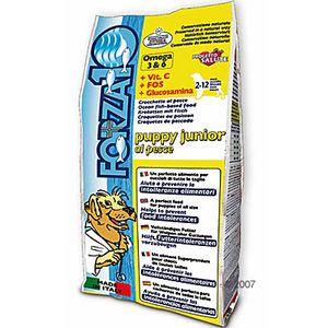 Forza 10 Puppy Junior with Fish