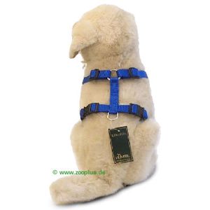 Hunter Vario Rapid Harness - Blue