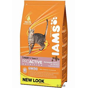 Iams Adult with Salmon