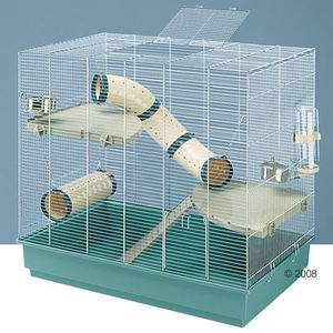 Jenny Rat Cage