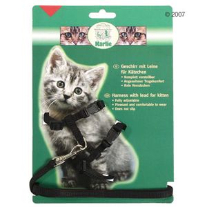 Kitten Harness with Lead