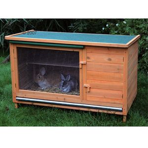 Rabbit Hutch Family