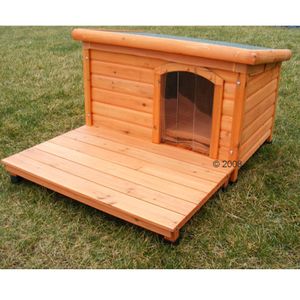 Set: Flat Roof Dog House Woody + Patio